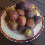 fresh_figs