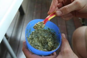 Baby Food - indian palak paneer (spinach cheese curry)