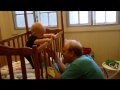 The laugh your ass off game 