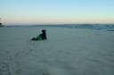 Beach Crawling at dawn