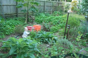 exploring the garden