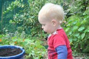 Exploring in the garden